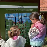 Erdő Mellett Lebzselő Mogyoroska