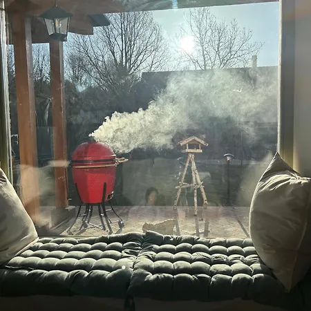 Erdő Mellett Lebzselő Mogyoroska